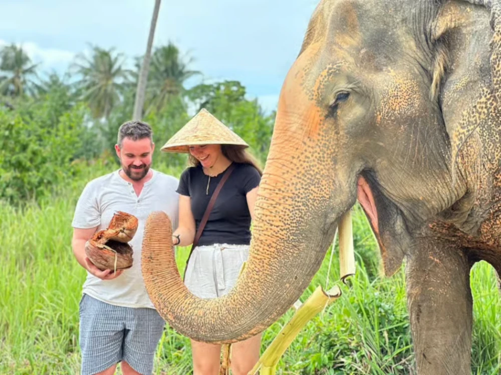 Koh Samui: Ethical Elephant Home Guided Tour with Transfers