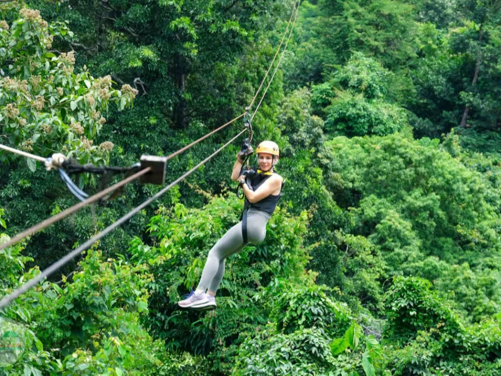 Tree Bridge Zipline and Café Experience