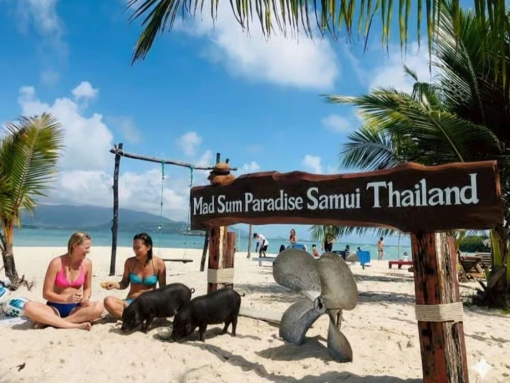 Elephant, Pig Island and Snorkel by longtail boat