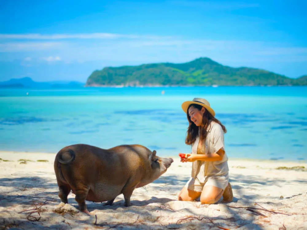 Private Longtail Boat to Pig Island with Snorkel