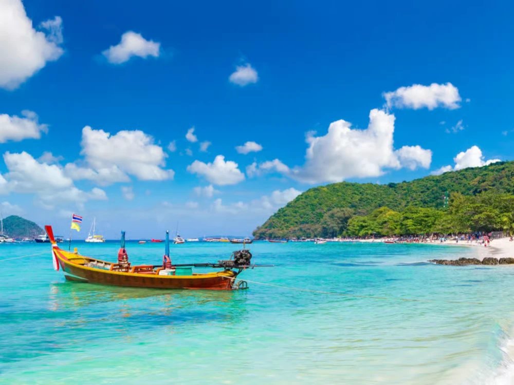 Island Hopping Adventure in Coral and Pig Island