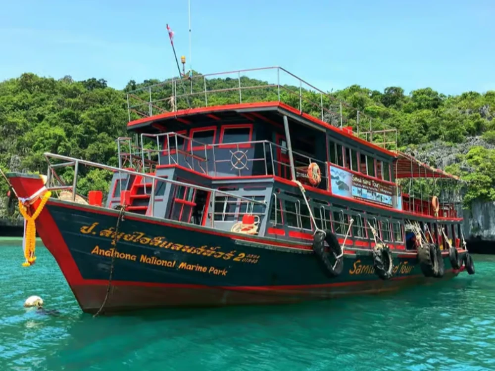 Ang Thong Marine Park by Big Boat with Transfers