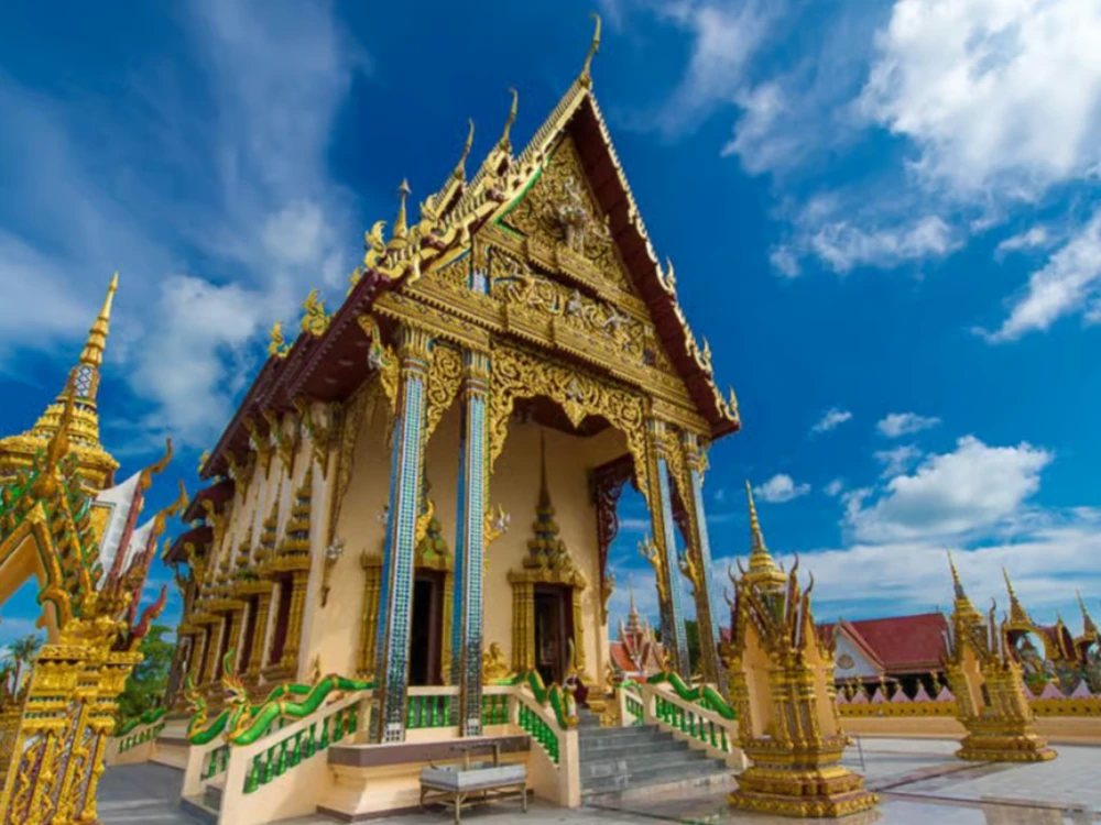 Half-Day Highlight Tour + Elephant Feeding Option