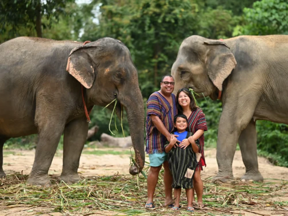 Koh Samui Elephant Sanctuary Entry and Feeding Experience