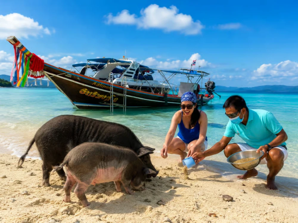 Pig Island Half-Day Longtail Boat Experience