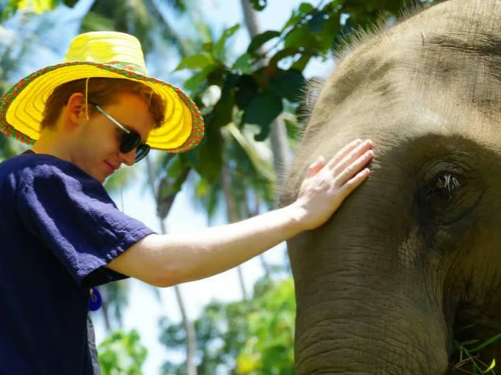 Half-Day Ethical Elephant Sanctuary with Mud Spa