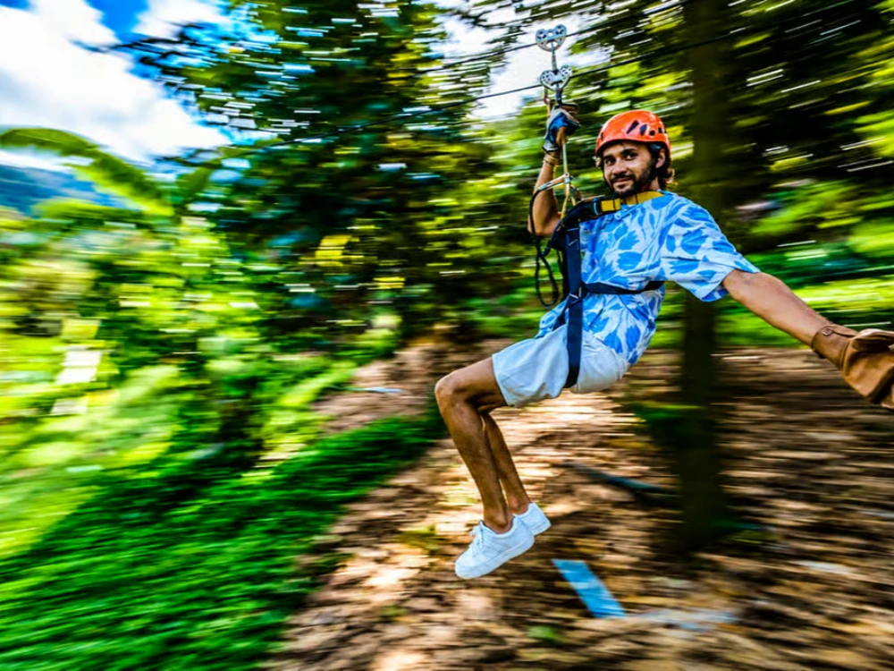 Tree Bridge Jungle Zipline and Waterfall Adventure