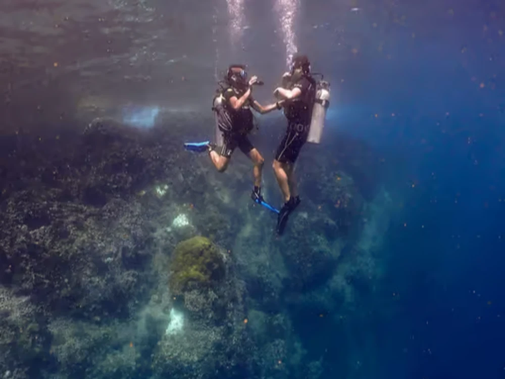 Discovery Dive to Koh Tao or Sail Rock