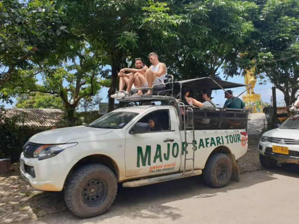 Major Safari 4x4 Sightseeing Safari & Elephant Sanctuary Tour