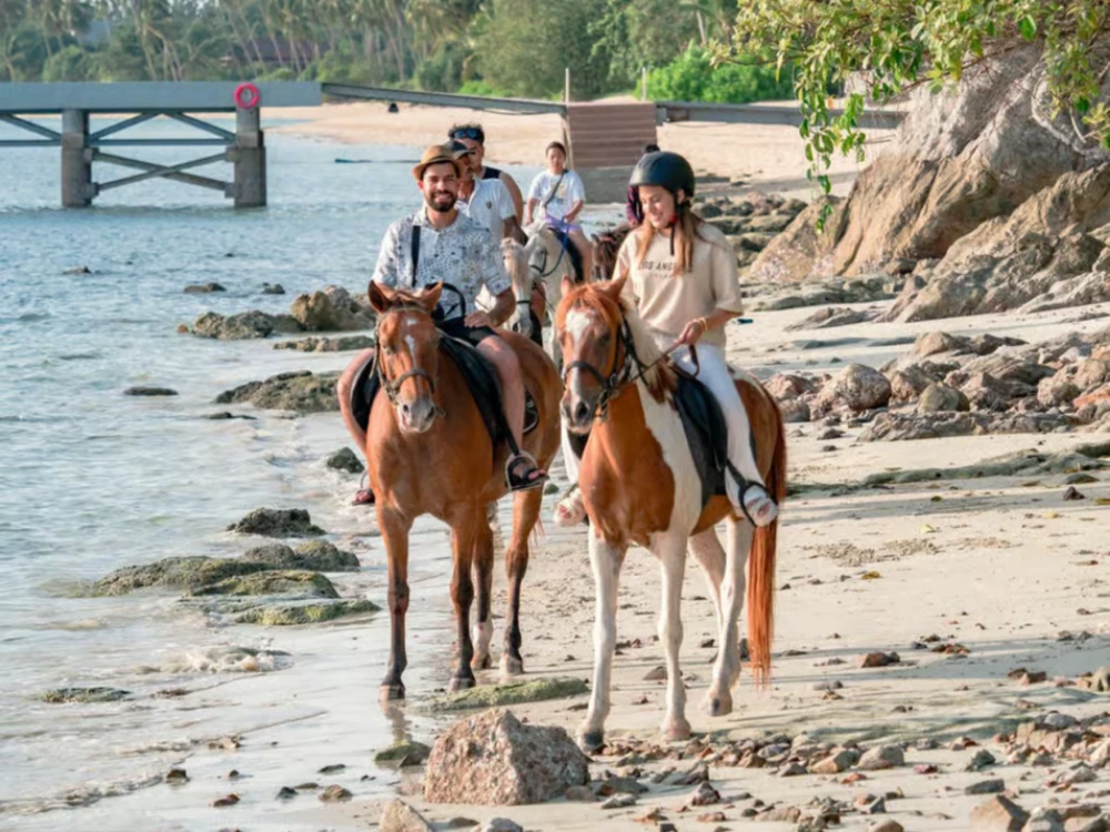 Koh Samui Horse Riding & Beach Trails