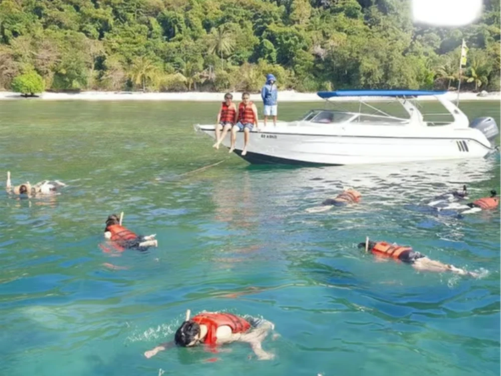 Pig Island & Koh Tan Snorkeling Tour Kayak & Meal
