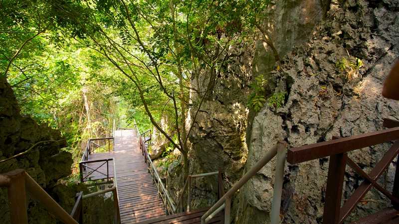 Just Get Lost (In a Good Way) - Wandering Samui