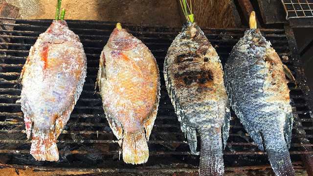 Just Get Lost (In a Good Way) - Wandering Samui