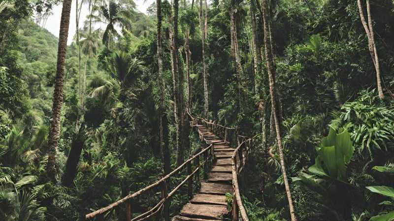 A Paradise for Nature Lovers