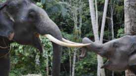 A Paradise for Nature Lovers