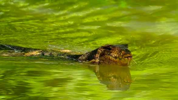 A Paradise for Nature Lovers