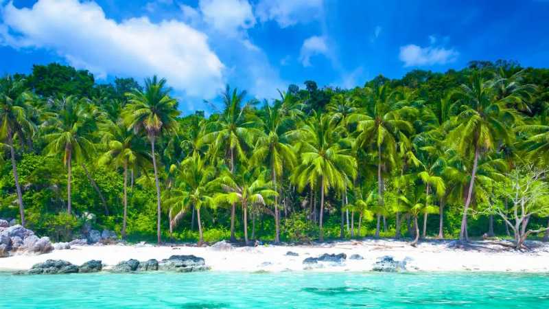 The 22nd Annual Samui Regatta