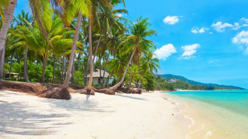 Is Samui Expensive? Let’s Break it Down