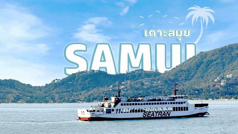 Seatran Notice of suspension of services