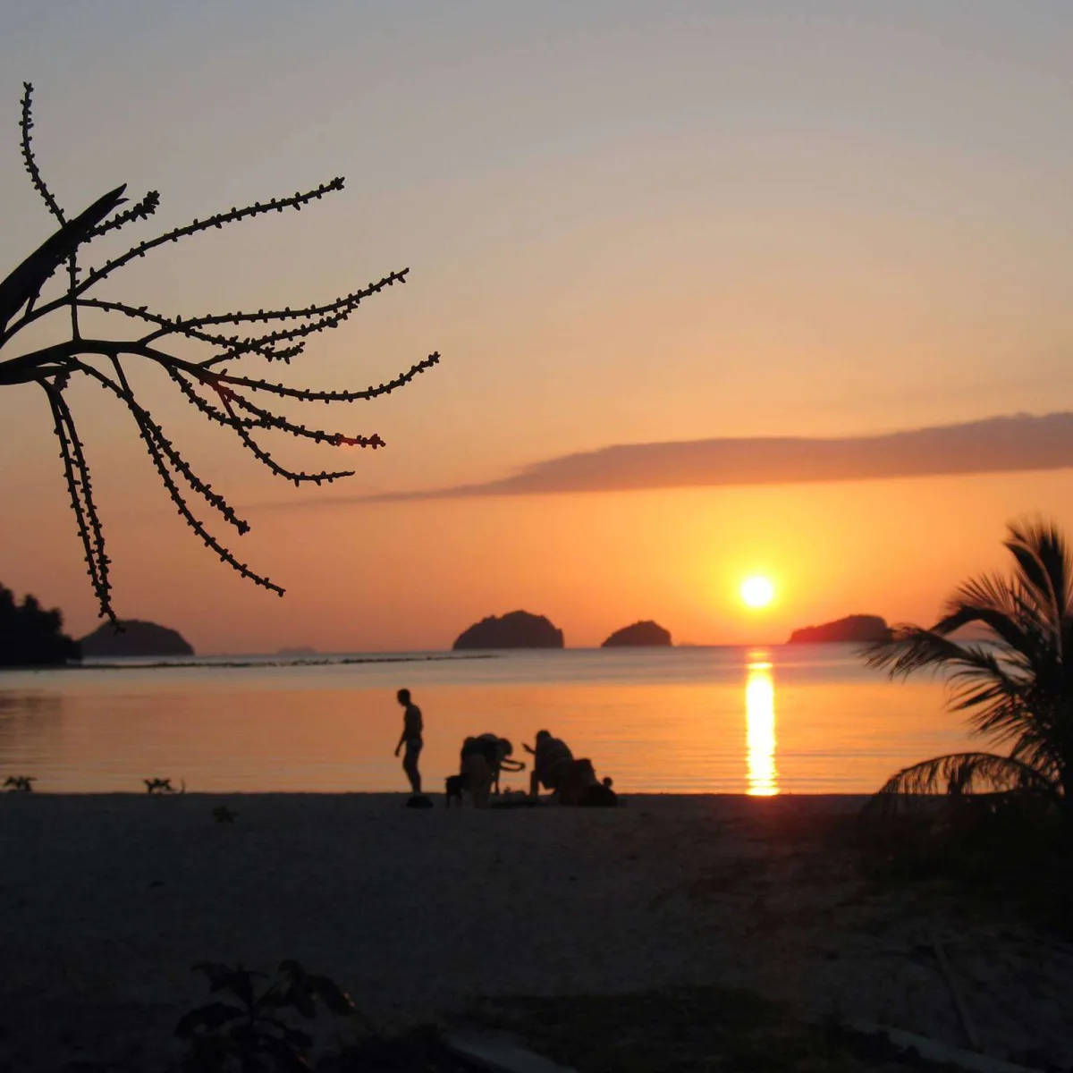 Phangka Paradise Resort