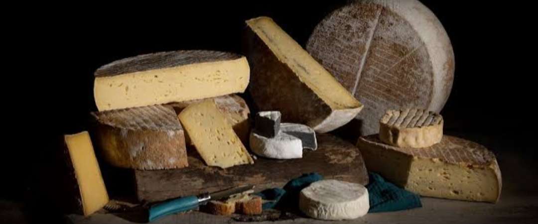 Cheese Art Gallery