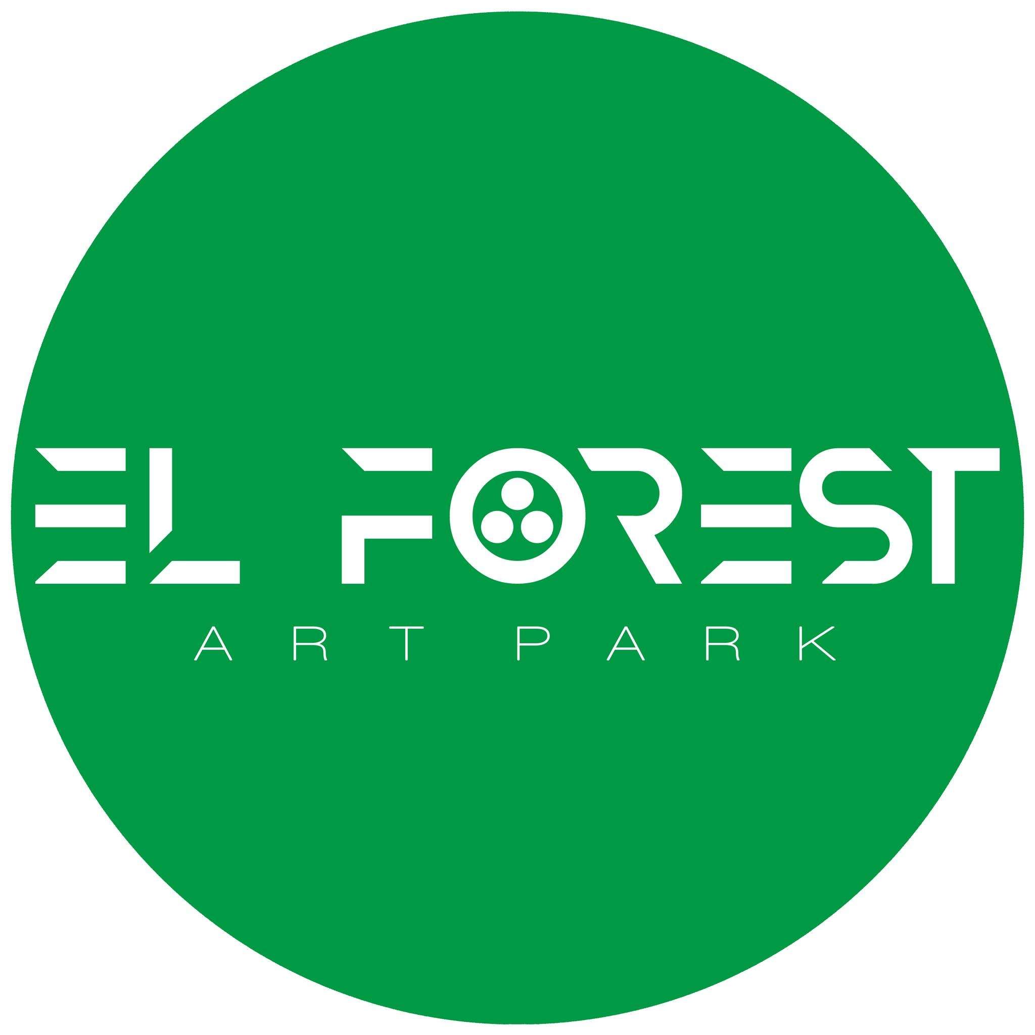 Electric Forest Art Park 