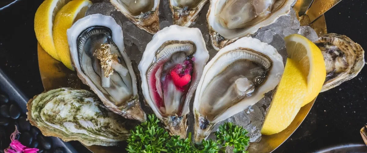 The Oyster bar x