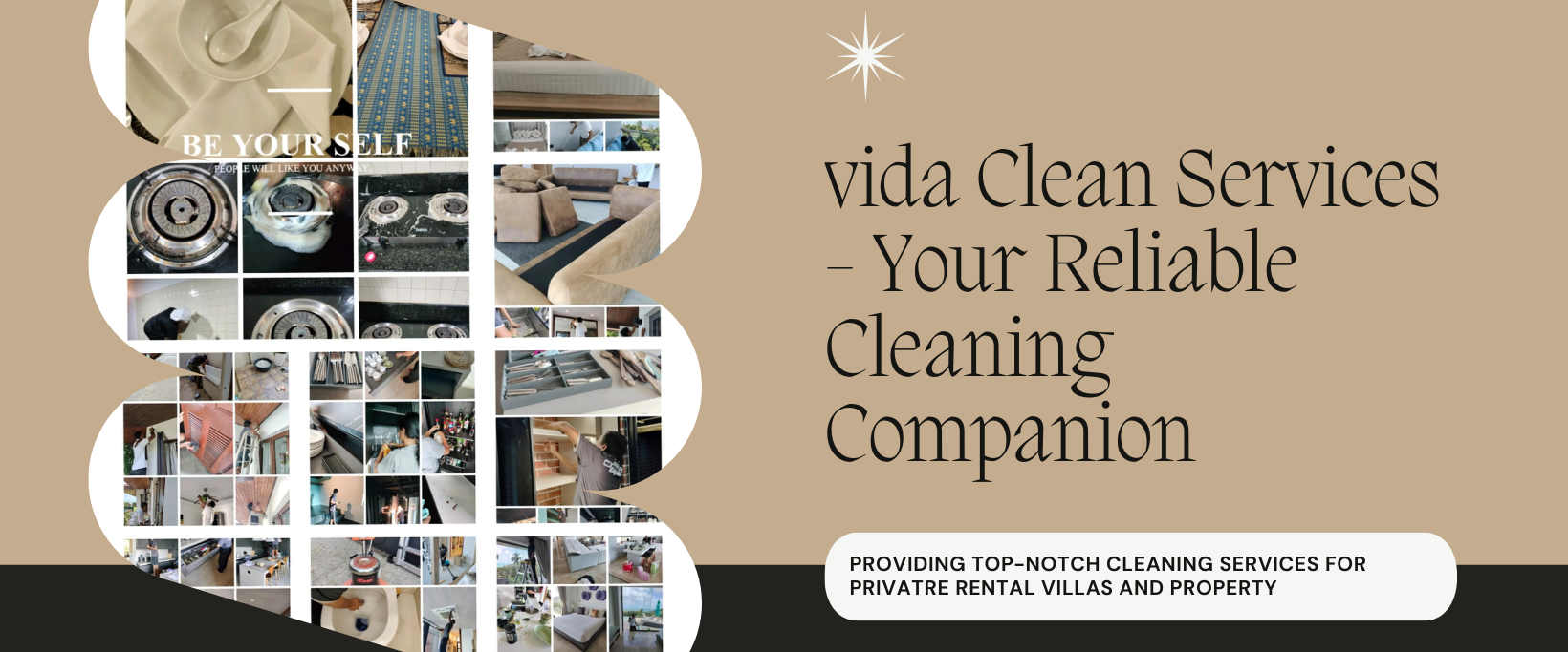 Vida Cleaning