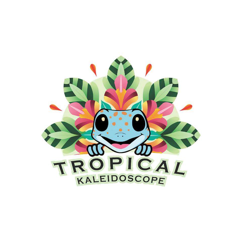 Tropical Kaleidoscop