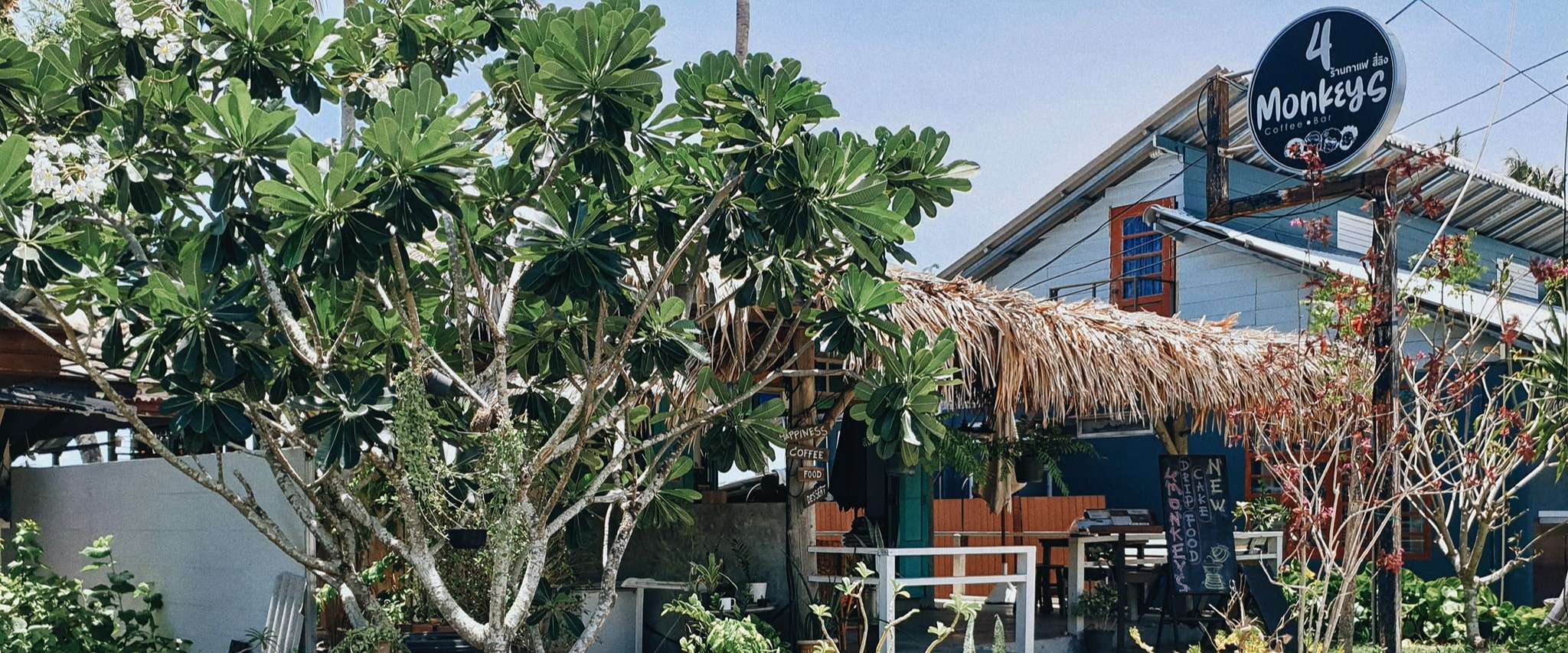 4 Monkeys Coffee & Bar