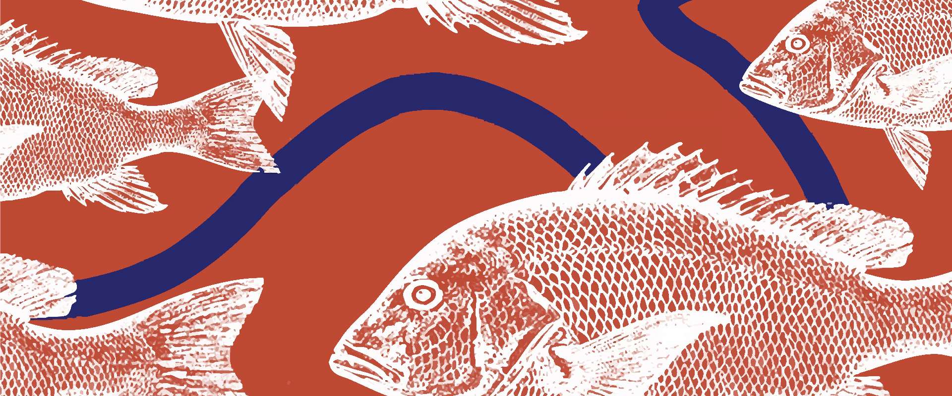 Red Fish Restaurant @ Chaweng Regent