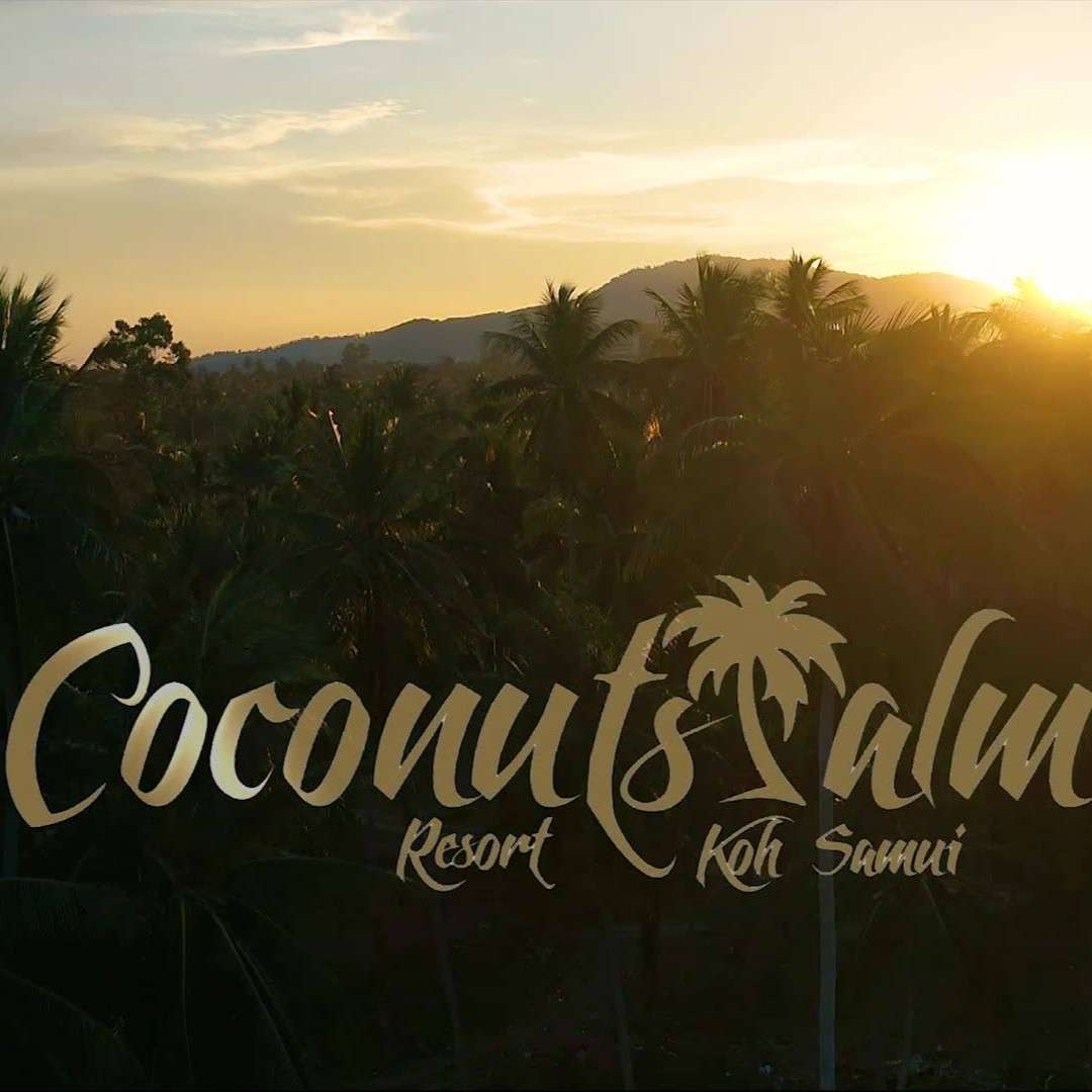 Coconuts Palm Resort 