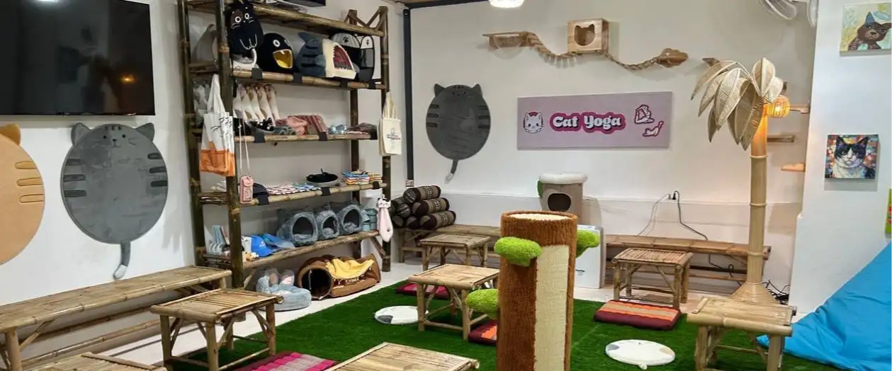Catworld