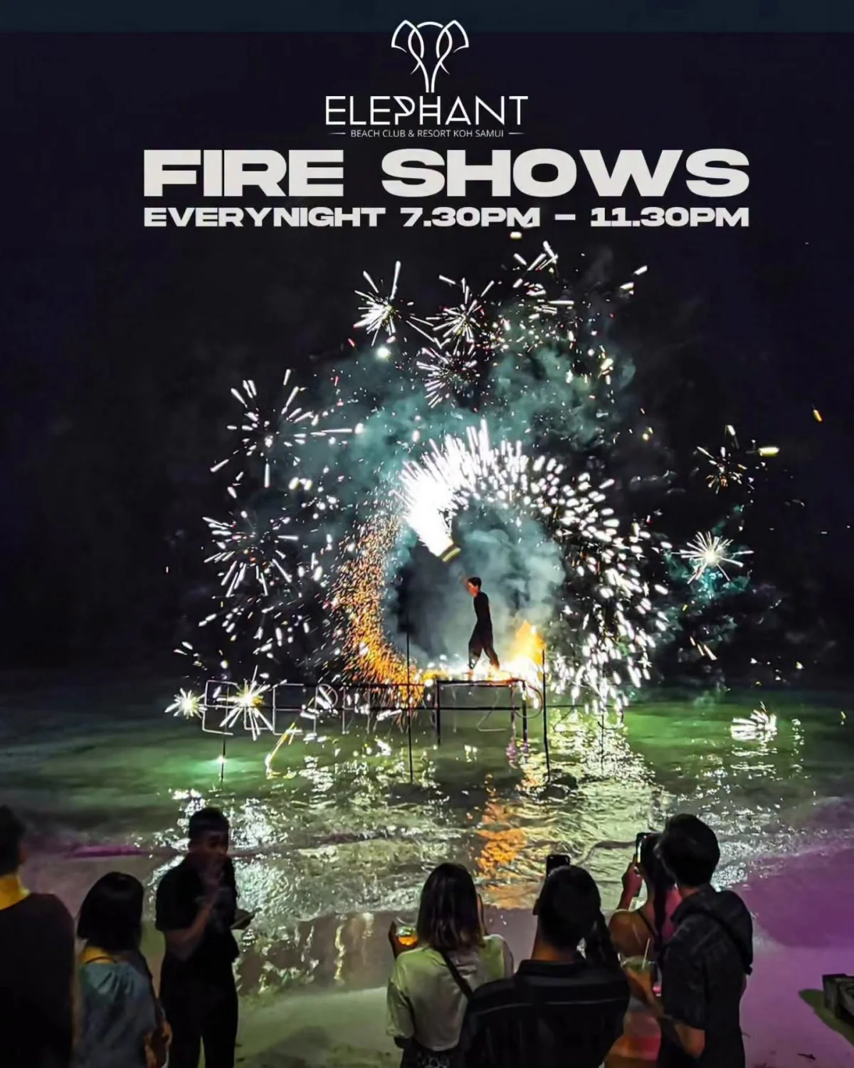 Fire Show