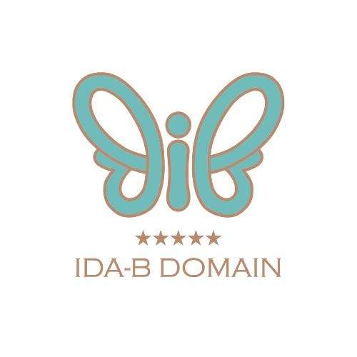 IDA B DOMAIN