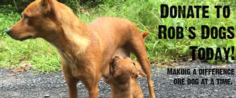 Rob's Dogs