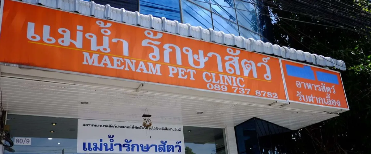 Maenam Pet Clinic