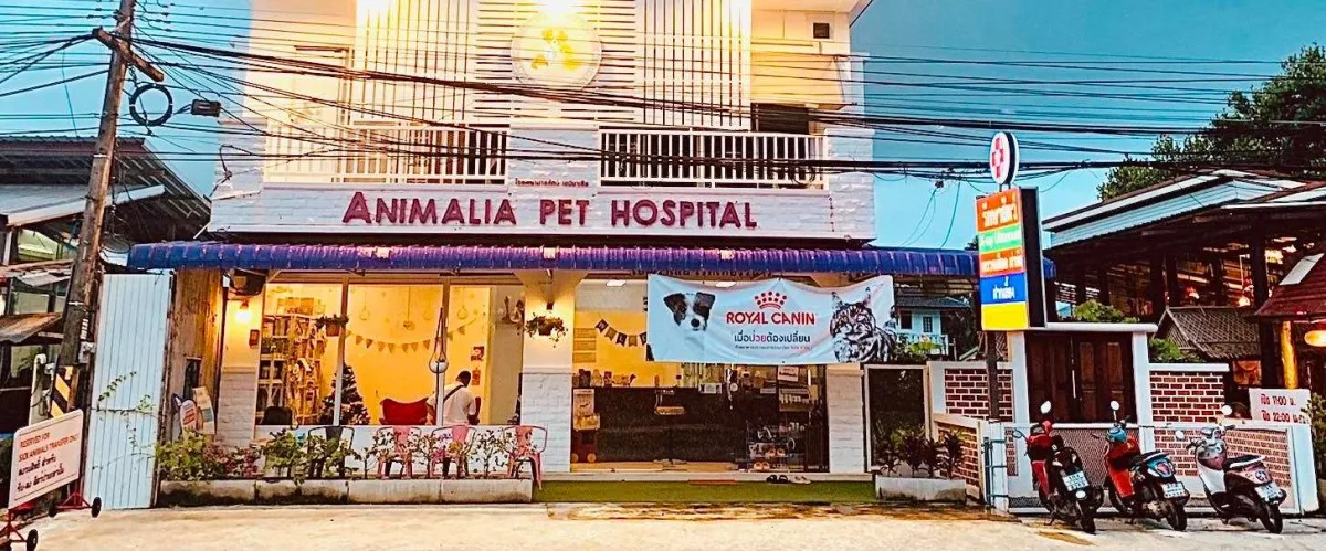Animalia Pet Hospital