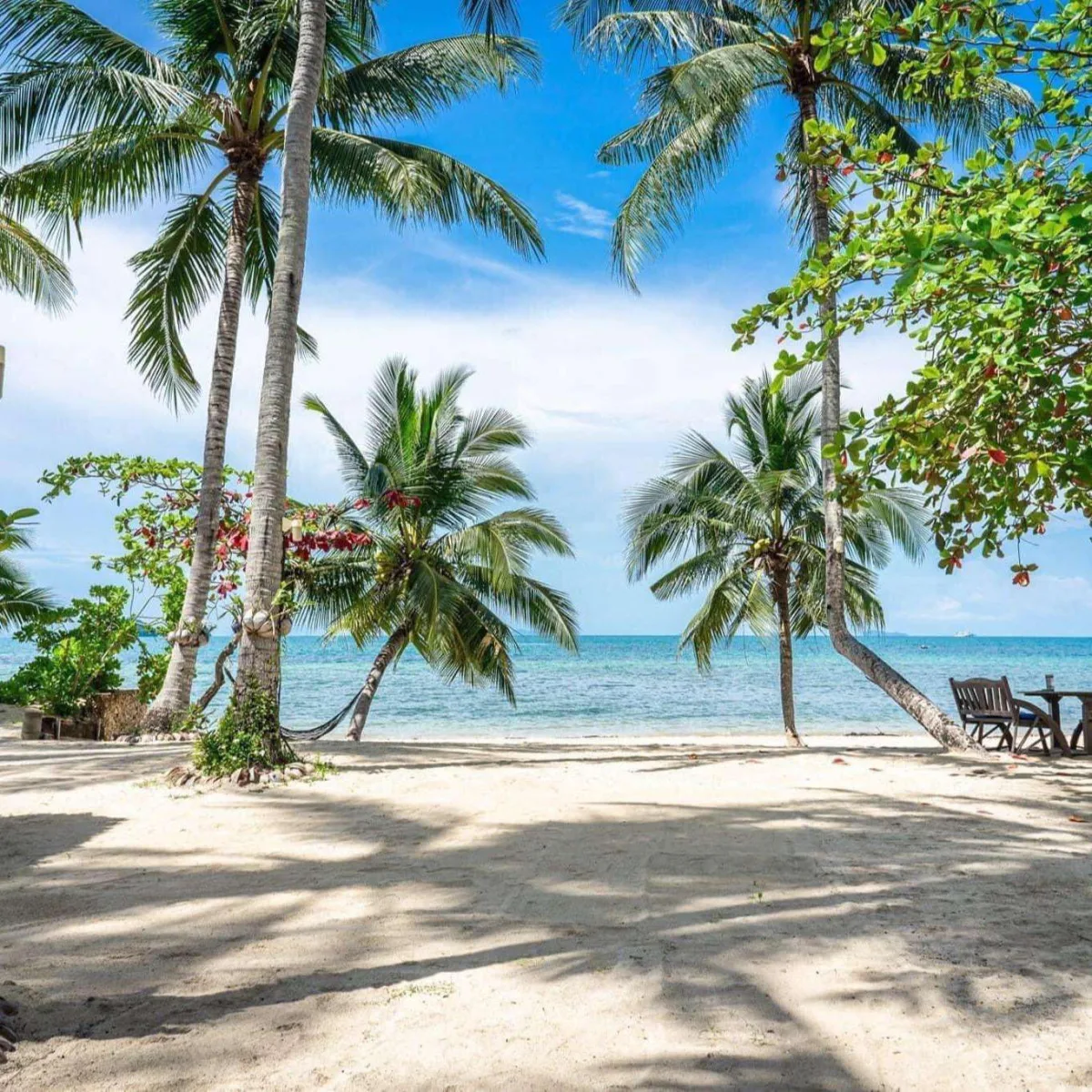Am Samui Resort