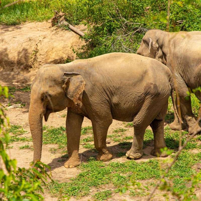 Wild Cottages Sanctuary 