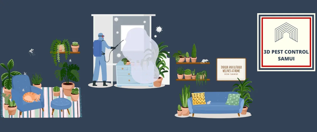 3D Pest Control